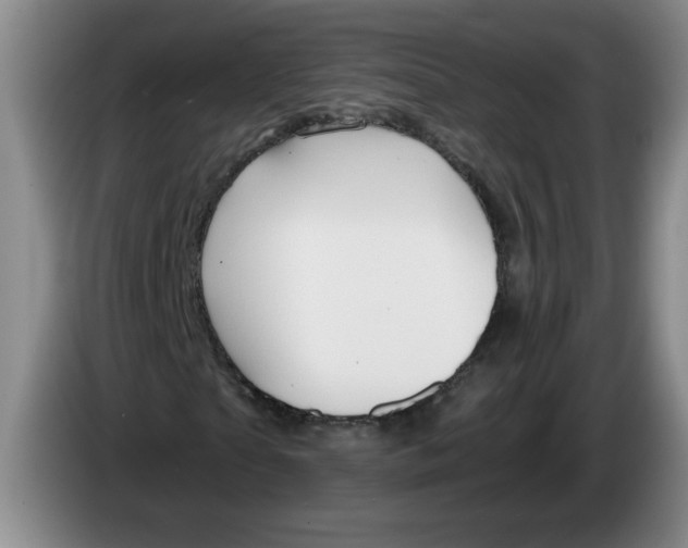 X0000084030865200703092008