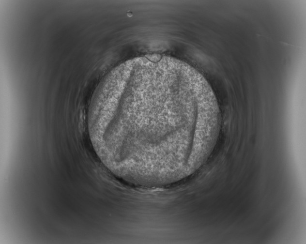 X0000084030866200703092008