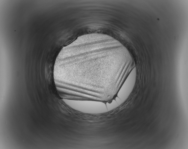 X0000084030868200703092008