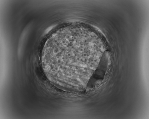 X0000084030871200703092008