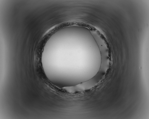 X0000084030872200703092008