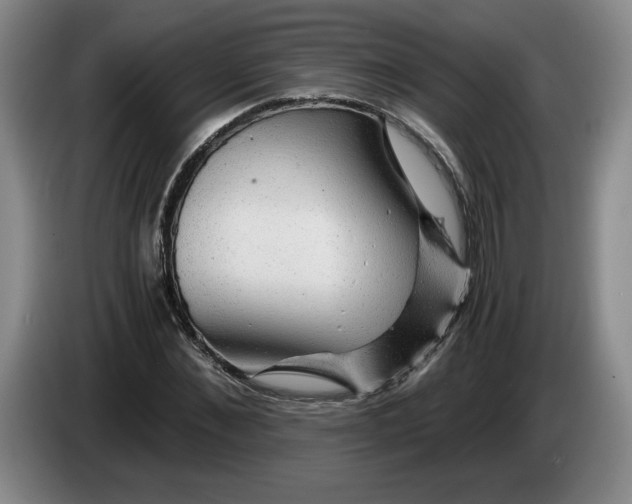 X0000084030876200703092008