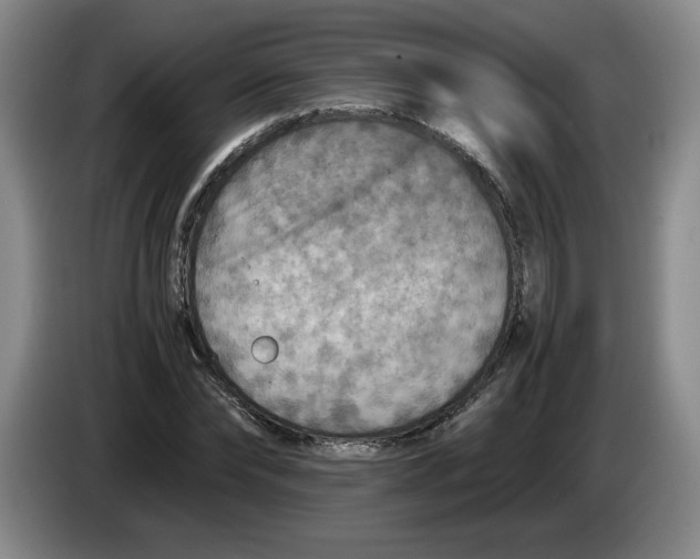 X0000084030878200703092008