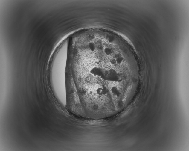 X0000084030879200703092008