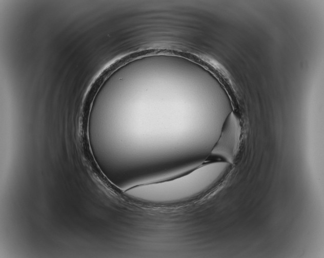 X0000084030880200703092008