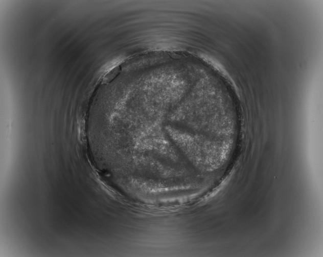 X0000084030881200703092008