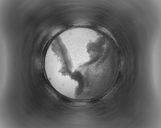 X0000084030882200703092008