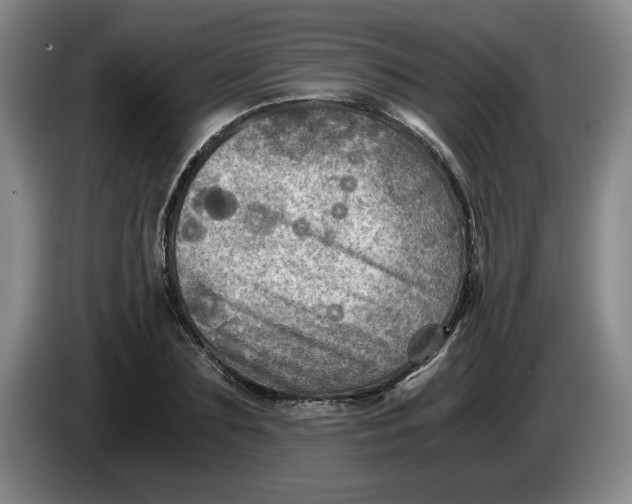 X0000084030883200703092008