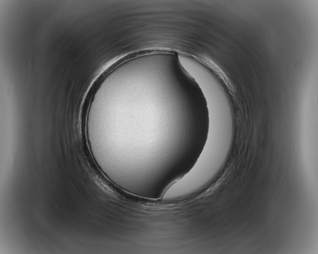 X0000084030884200703092008