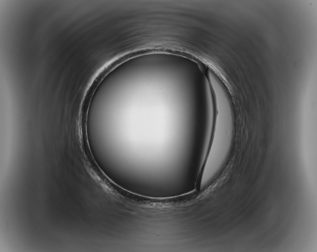 X0000084030888200703092008