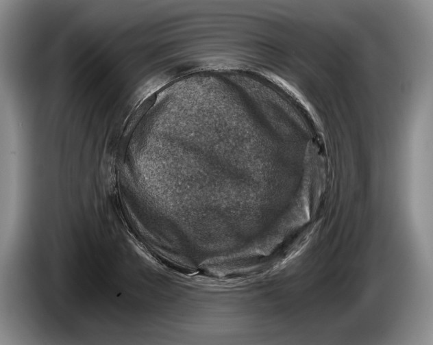 X0000084030889200703092008