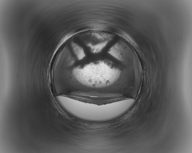 X0000084030891200703092008