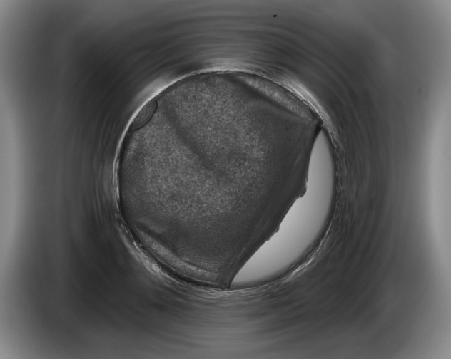 X0000084030892200703092008