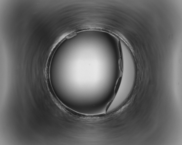 X0000084030893200703092008