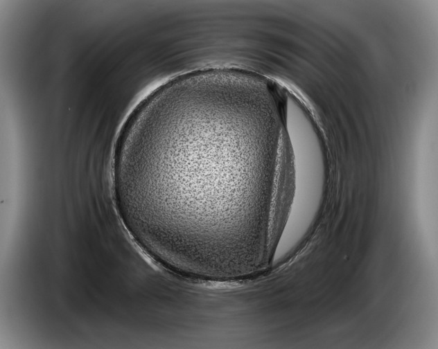 X0000084030894200703092008