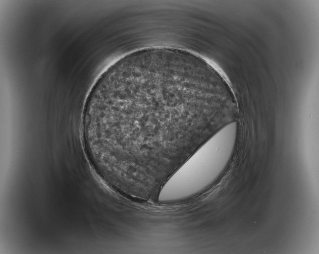 X0000084030895200703092008