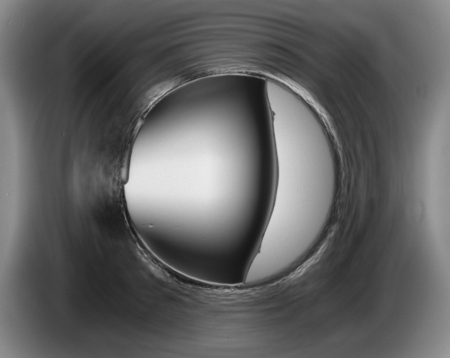 X0000084030897200703092008