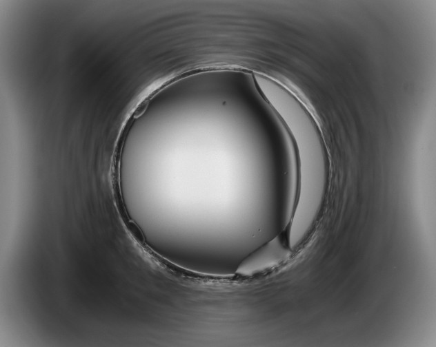 X0000084030901200703092008