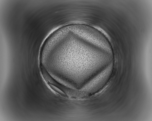 X0000084030902200703092008