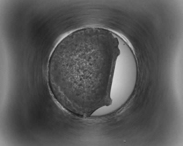 X0000084030903200703092008