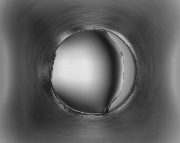 X0000084030905200703092007