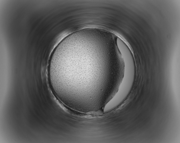 X0000084030906200703092007