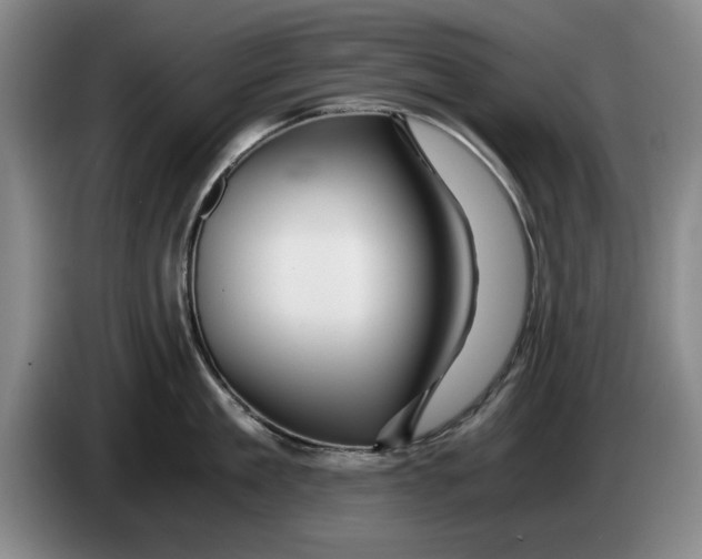 X0000084030909200703092007