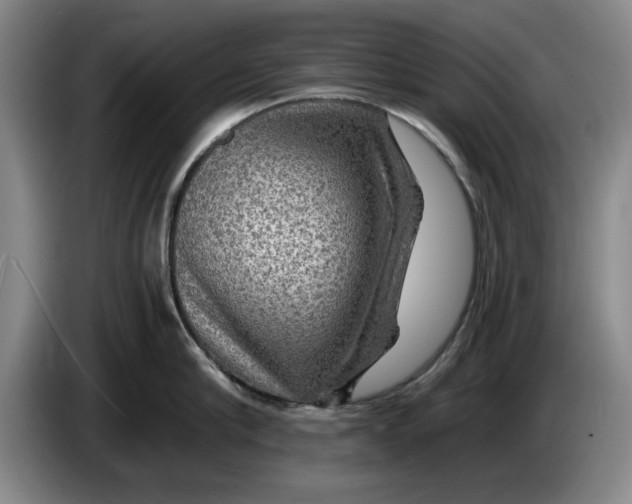 X0000084030910200703092007