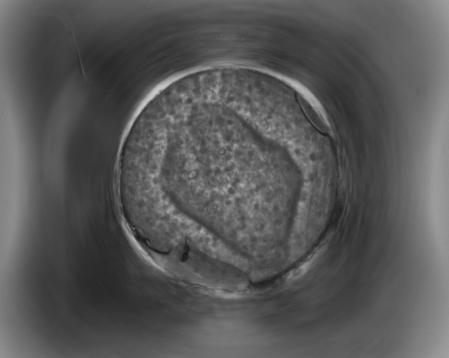 X0000084030911200703092007