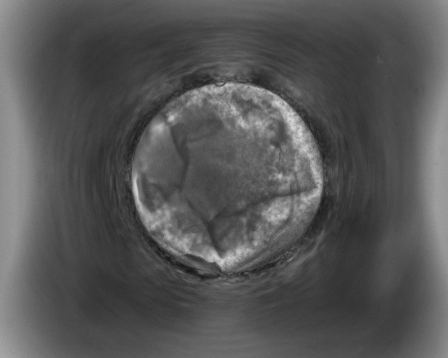 X0000084030913200703092007