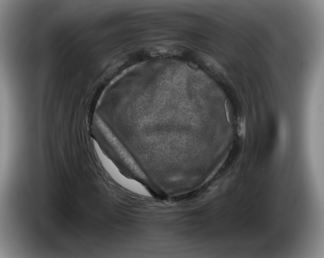 X0000084030915200703092007