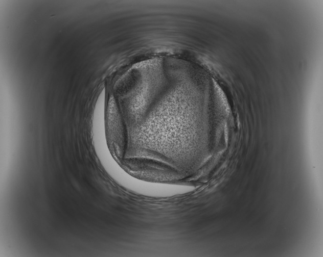 X0000084030916200703092007