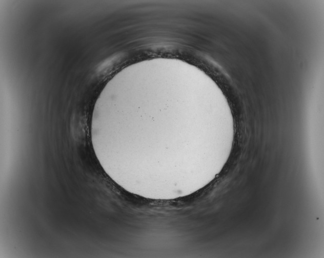 X0000084030918200703092007