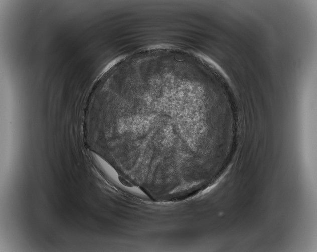 X0000084030921200703092007