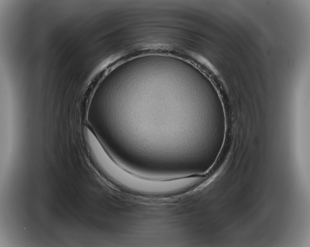 X0000084030922200703092007