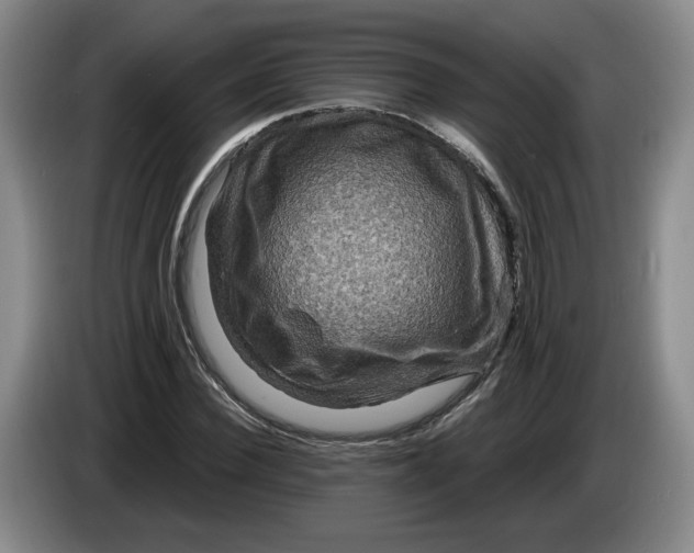 X0000084030924200703092007