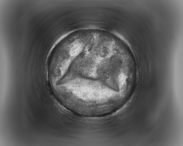 X0000084030925200703092007