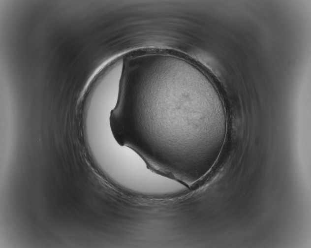 X0000084030926200703092007