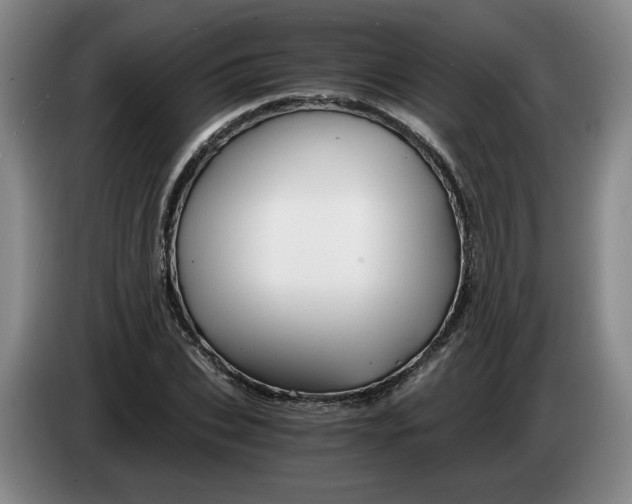 X0000084030927200703092007