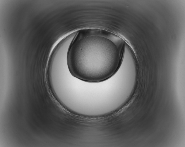 X0000084030928200703092007