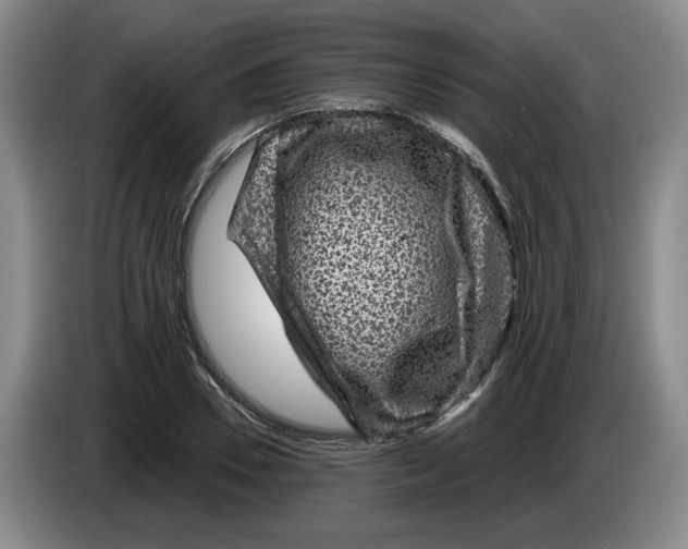 X0000084030930200703092007