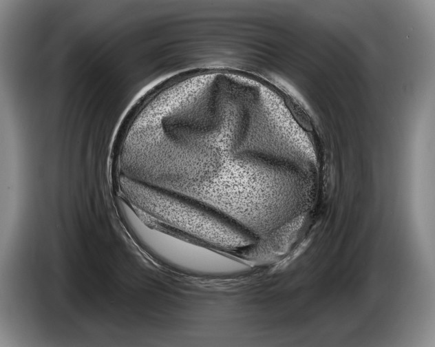 X0000084030932200703092007