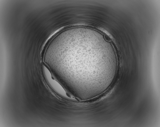 X0000084030933200703092007