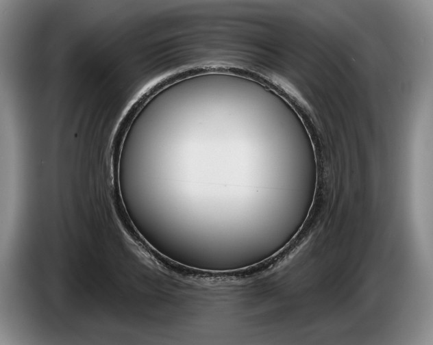 X0000084030934200703092007