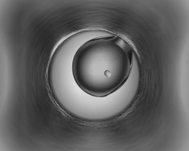 X0000084030936200703092007