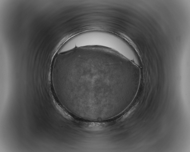 X0000084030938200703092007