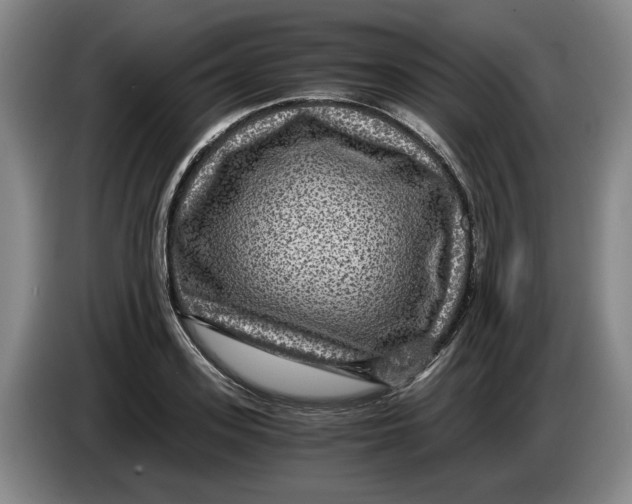 X0000084030939200703092007