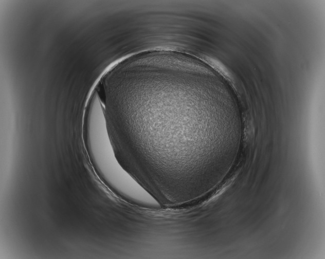 X0000084030940200703092007