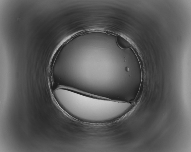 X0000084030941200703092007