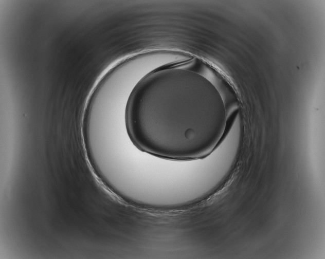 X0000084030942200703092007